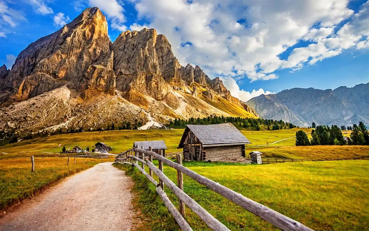 绝美风景植物高清桌面壁纸