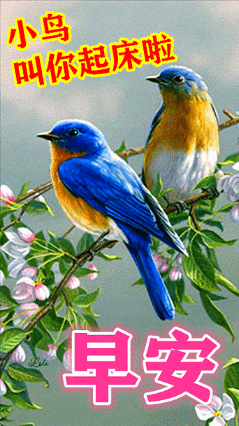 原创8张特漂亮的最新早上好动态表情图片2022最美早安祝福语动图