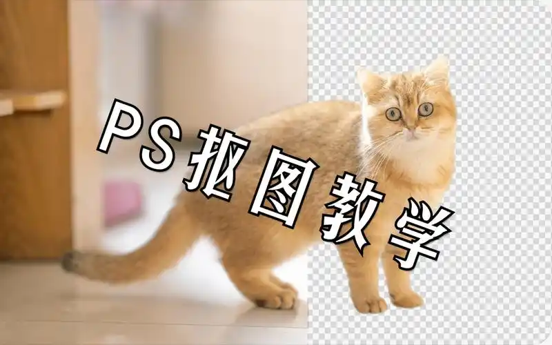 【ps教程】超好用的16种抠图教学,扣头发丝和毛发的超