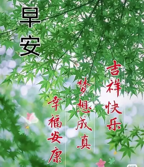 唯美早安问候祝福语图片精选