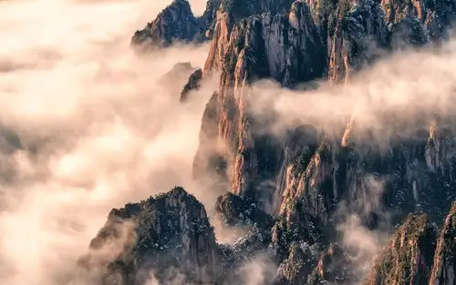 美好的句子,十二个有意义的句子,写的真好