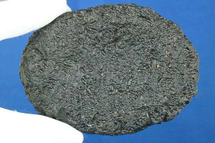 陨石网-世界陨石论坛