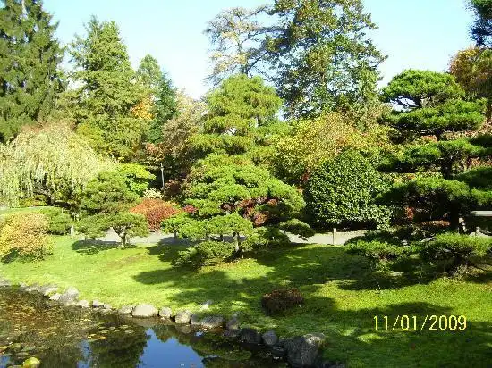 japanese garden 2 - 西雅图日本茶园的图片
