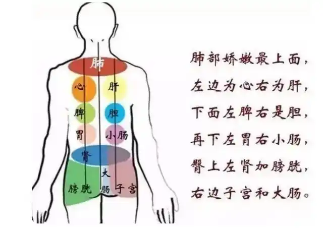 如何做好背部保养?