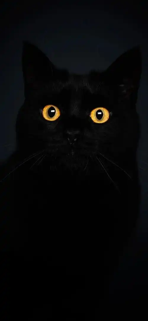 手机壁纸:超赞好看全面屏壁纸