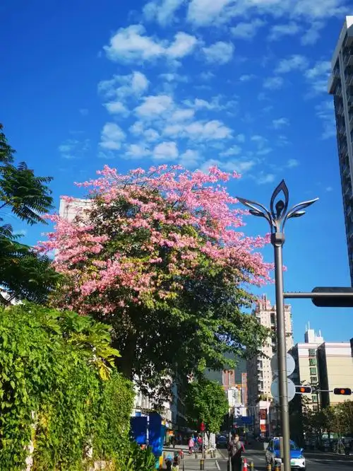 万里晴空阳光明媚