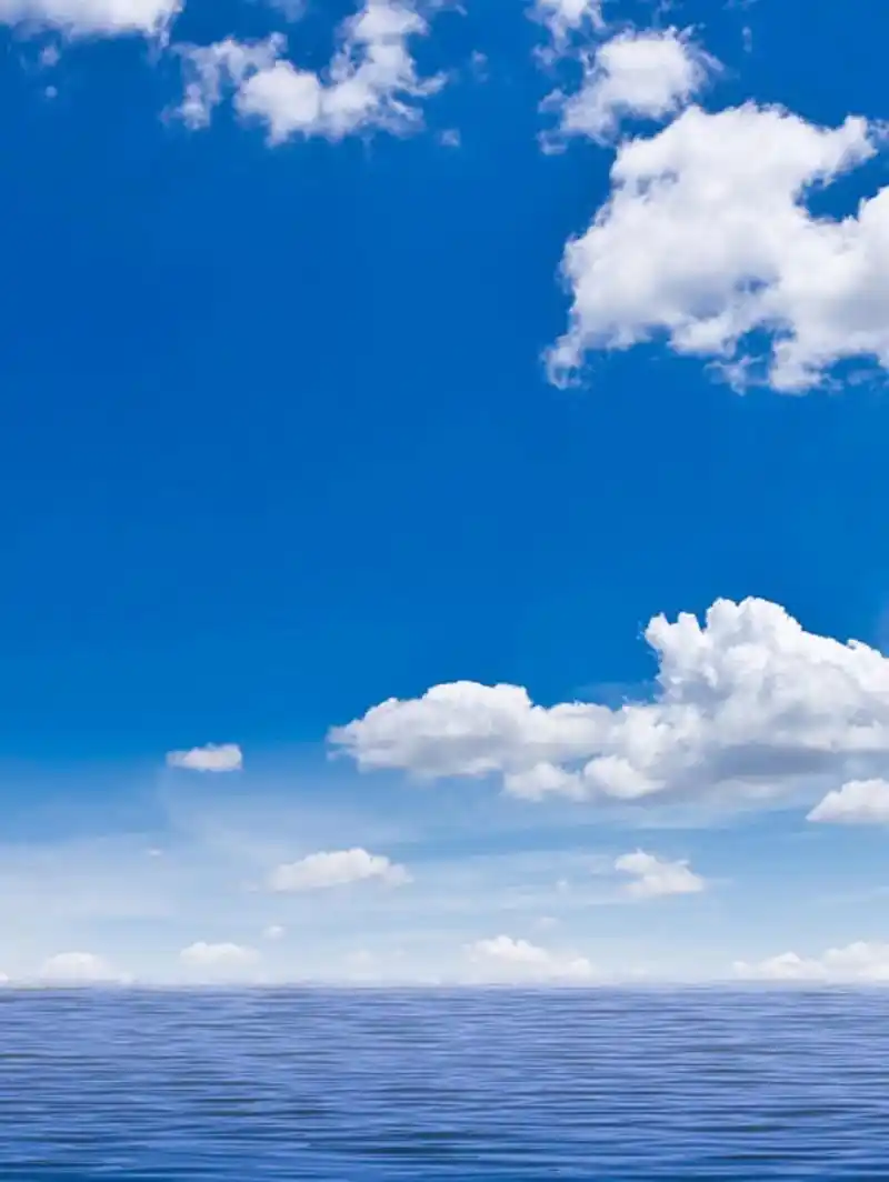 春天里躺一躺#春天的天空如画,清澈蔚蓝,仿佛是大海倒挂在天际;春天