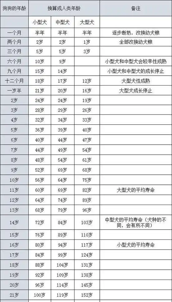 生肖狗哪一年出生 生肖狗出生月份命运 - 珍缘易学