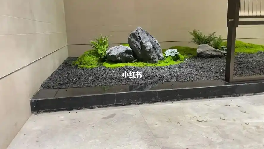 永生苔藓绿植造景