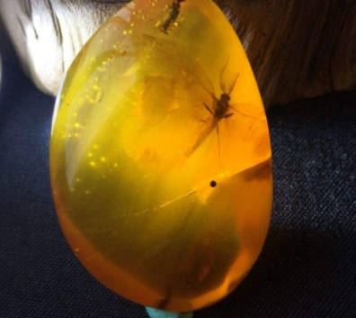 教你4招辨别真假琥珀