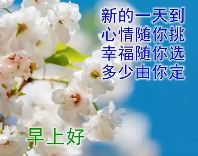 原创8张最新漂亮早上好图片鲜花带字带祝福语最美夏日早安问候祝福