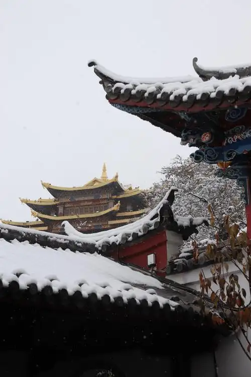 雪落古城,香格里拉"初雪"美如画!_雪景_游人_冬日