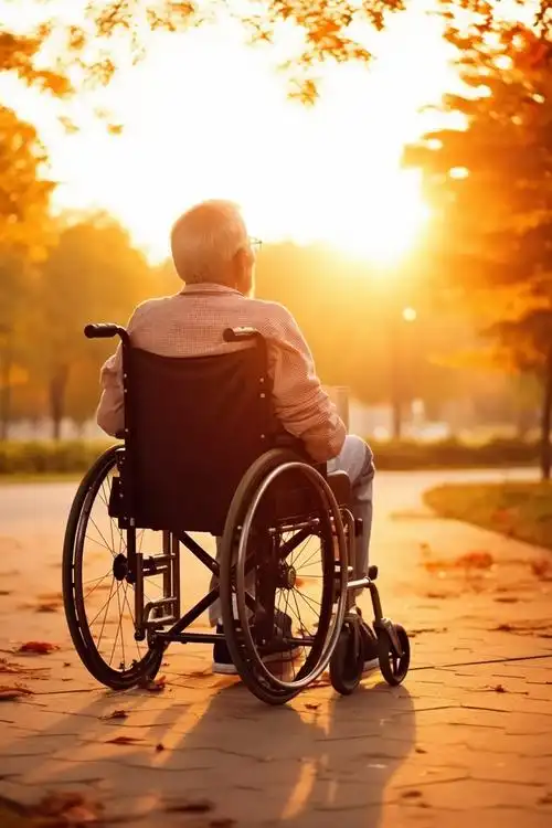 坐在轮椅上看夕阳的老人侧影树木