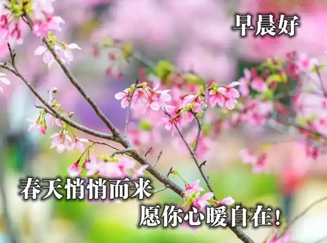 新版早上好问候语唯美温馨句子,群发微信清晨祝福语问候图片表情