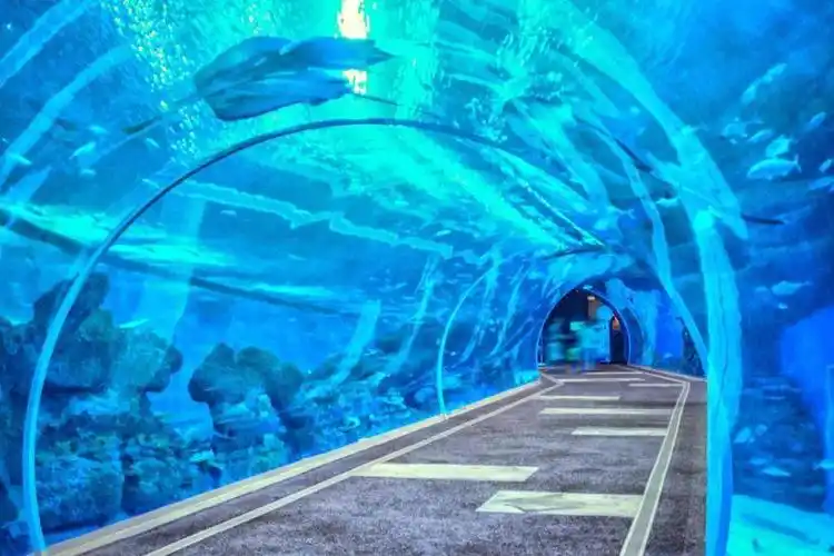 西北地区首个大型海洋馆项目"深海星空之城"或将落户秦州区