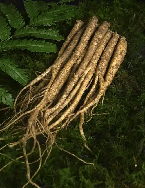 新鲜党参拍摄和详情页设计