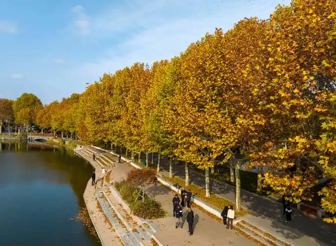 江苏泰州泰山公园冬景如画