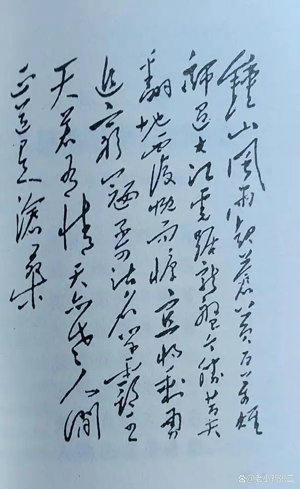 钟山风雨起苍黄