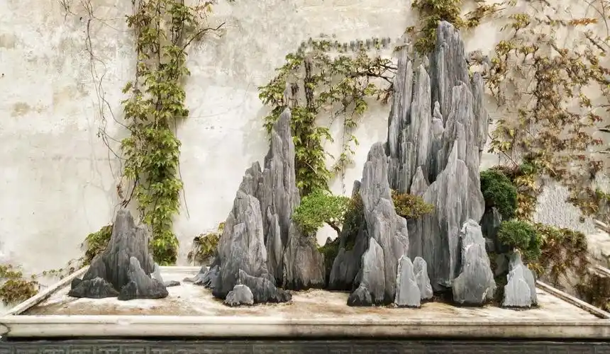 苏州园林,留园盆景-山石篇 - 美篇