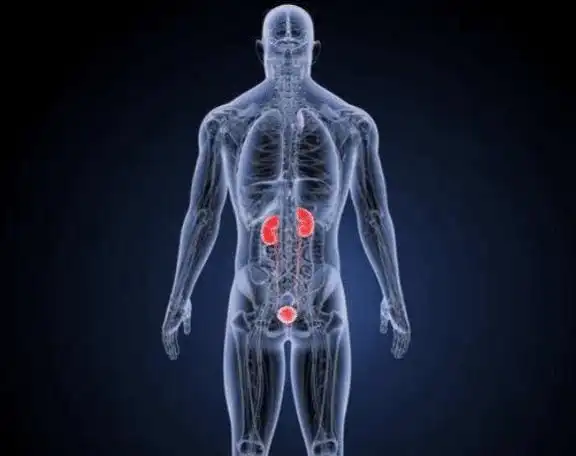 男人肾不好晨起一般有4大共性若占2个以上小心尿毒症