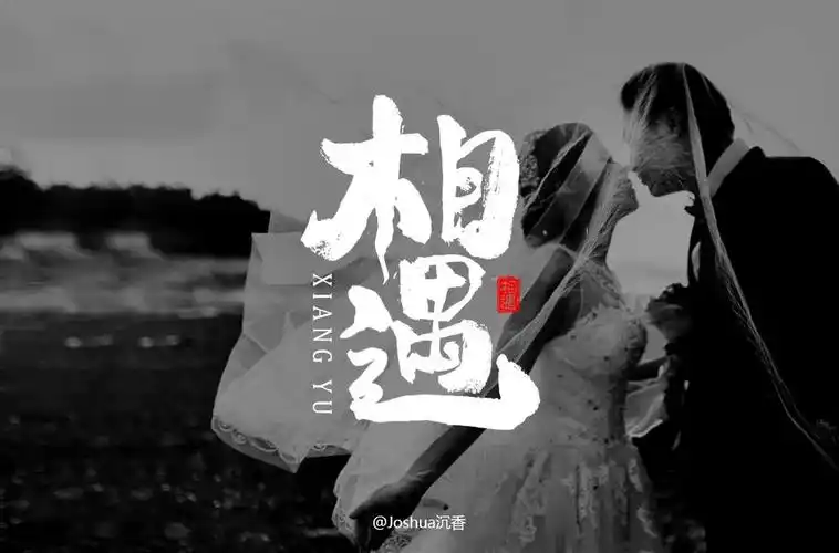 最美的遇见100款相遇字体设计2