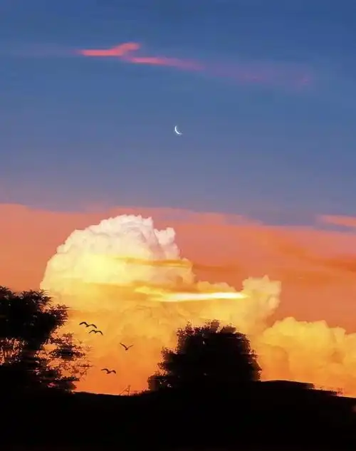 安静高清养眼背景图壁纸