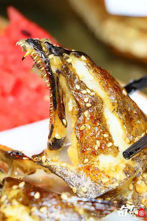 火爆全网的"海怪鱼",终于来南阳啦!吃一次就上瘾!