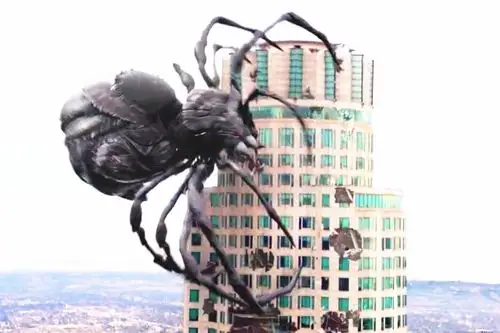 小蜘蛛逃出实验室后,变异为巨型蜘蛛王,眼看就要毁灭美国_手机搜狐网