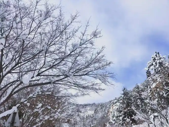 雪景 写美篇烟台的冬天是最冷也是最美的 ,因为到了飘雪的季节 ,一场