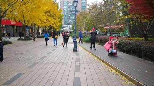 上海市长宁区黄金城道商业步行街,摄影:平向阳 - 美篇