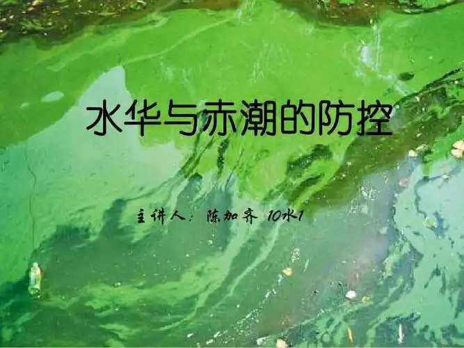 水华与赤潮的防控