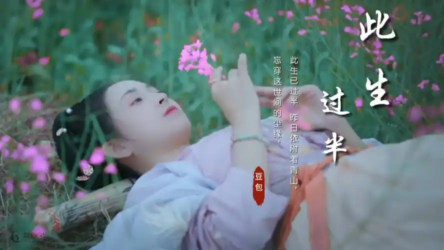 豆包此生过半dj阿卓版生劫难渡夜微凉佳人几许难相忘