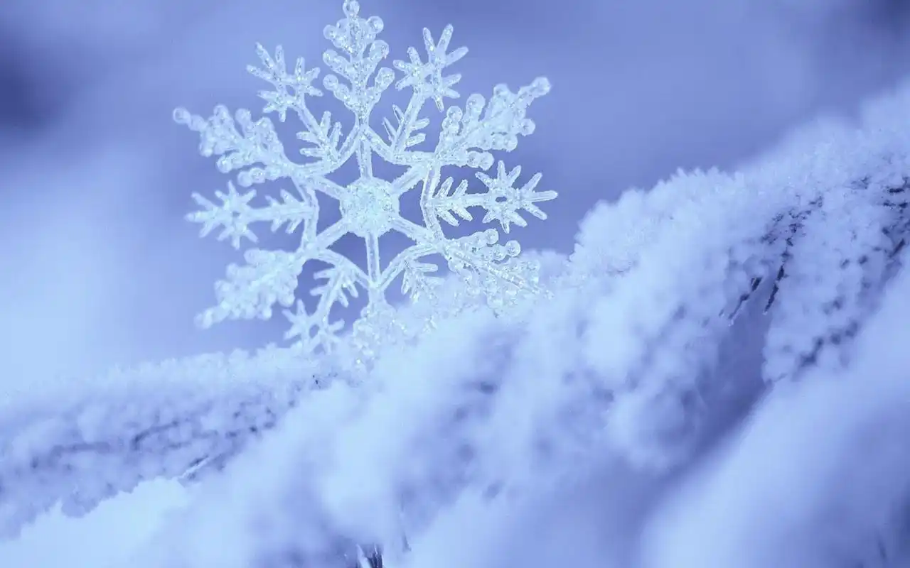 晶莹剔透的雪花唯美高清桌面壁纸