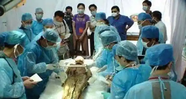 02年江苏挖出一副千年木棺,棺中女尸尸身未腐,五脏六腑保存完好