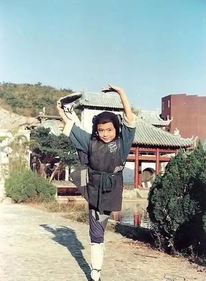 樊少皇的父亲是武打演员樊梅生,樊梅生与已故功夫巨星李小龙是好友