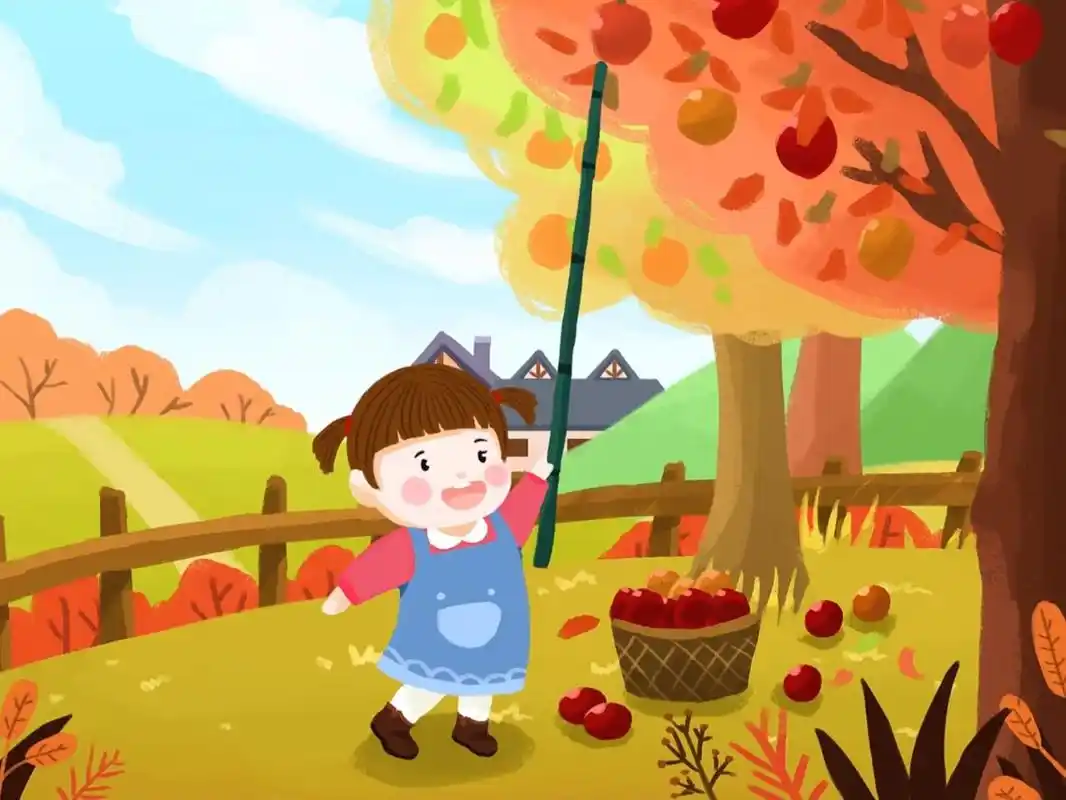 秋天里最快乐的生活是丰收 93秋天了,枫叶红,果实熟,猪肥,羊胖