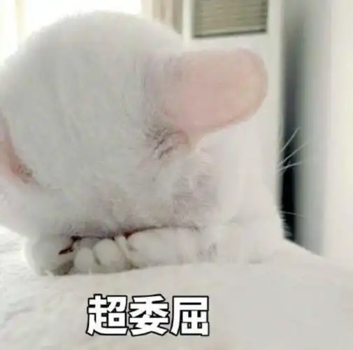 超委屈宝宝委屈委屈巴巴我好委屈,但我不说委屈地哭了起来宝宝委屈