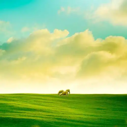 清爽风景三联画图片 - 第16张