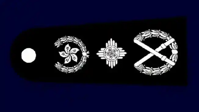 中国香港警察的警徽,警衔,警服