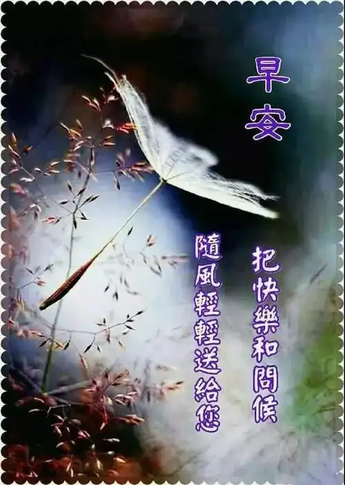 原创11月19日冬季清晨微信最美早安问候图片带字朋友圈亲人群早上好