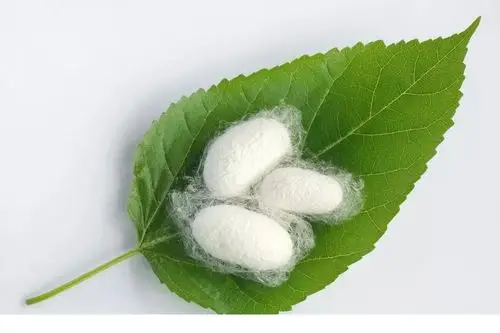 今日小满:最好人生是小满,花未全开月未圆