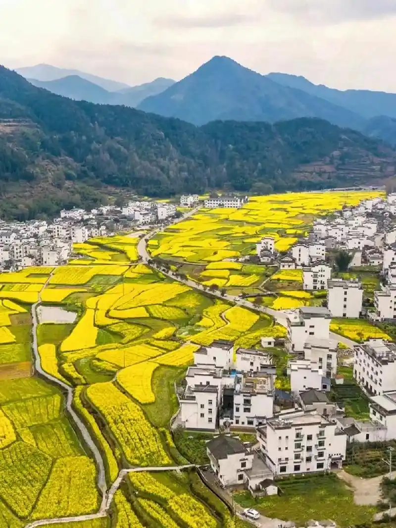 婺源风景区抖音活动来喽!婺源12景点5日通票畅玩只需180元 - 抖音