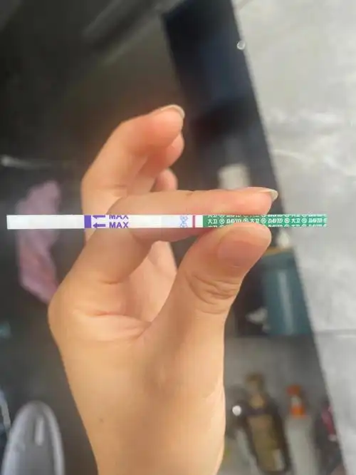 28号或者29凌晨排卵,今下午上厕所想着测一下,测了两根我和我老公在