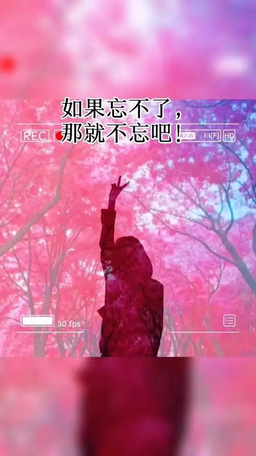 总有一个人,惊艳了那一段时光,却给不了你一生,如果忘不了,那就不忘吧