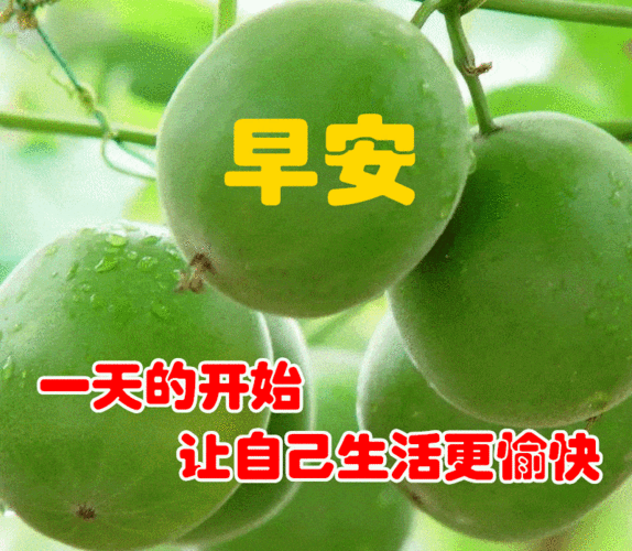 朋友圈最美特漂亮早上好表情包2021最美早晨好动态图片大全