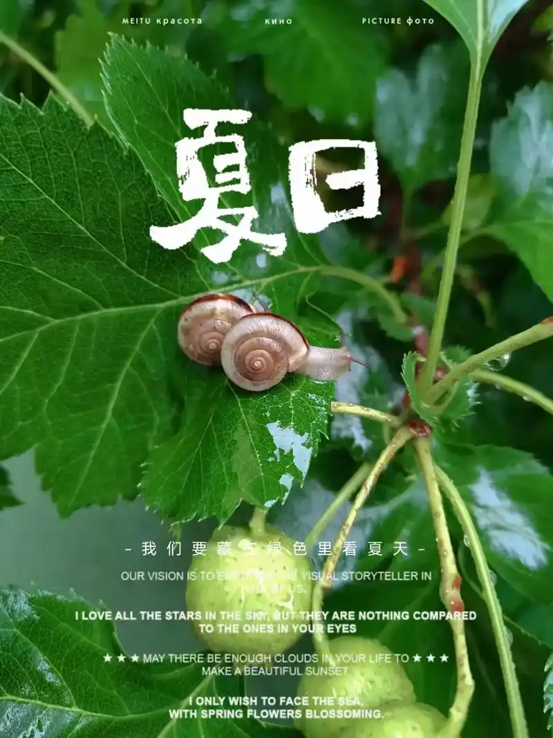 7415 雨中即景7415  漫步在雨中的小蜗牛 听着雨声,悠闲自得