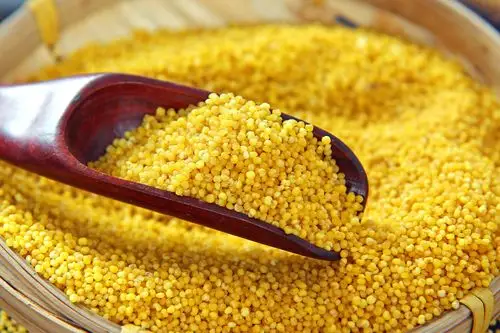 山西小米官网沁州黄特级山西特产三晋丰谷源官网富硒农家新米