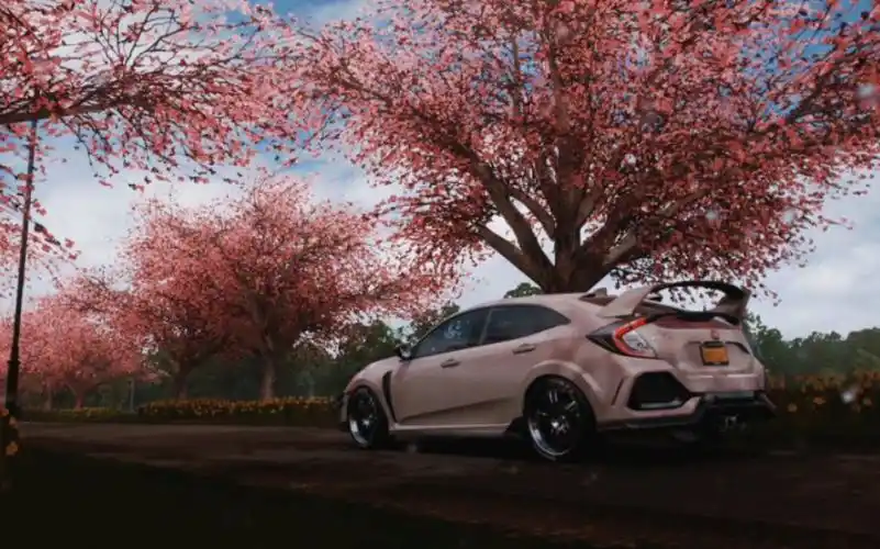 《极限竞速:地平线4》春季打卡樱花小道