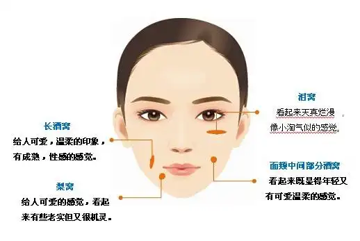 这张图可以清楚的告诉我们,酒窝和梨涡区别,以及泪窝和长酒窝的位置.