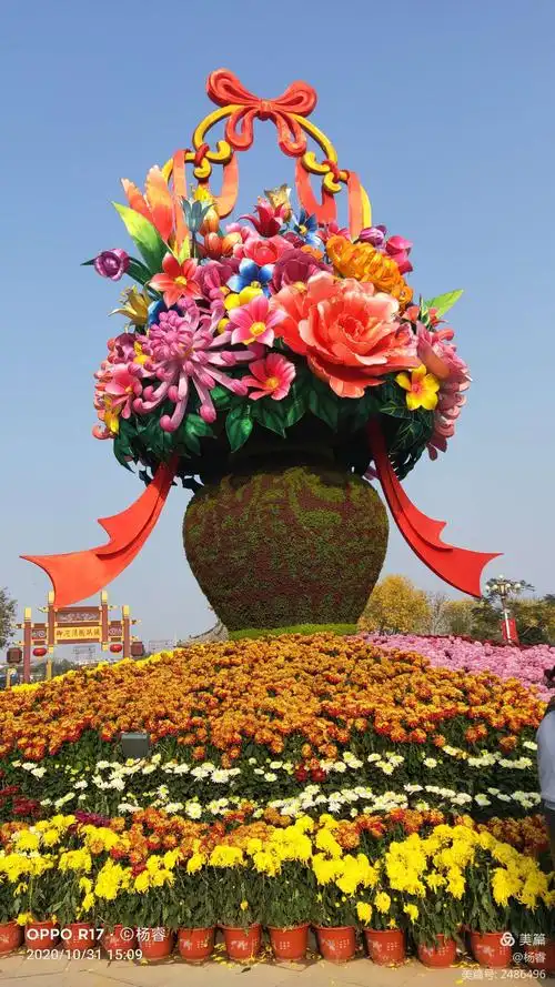 2020开封38届菊展游